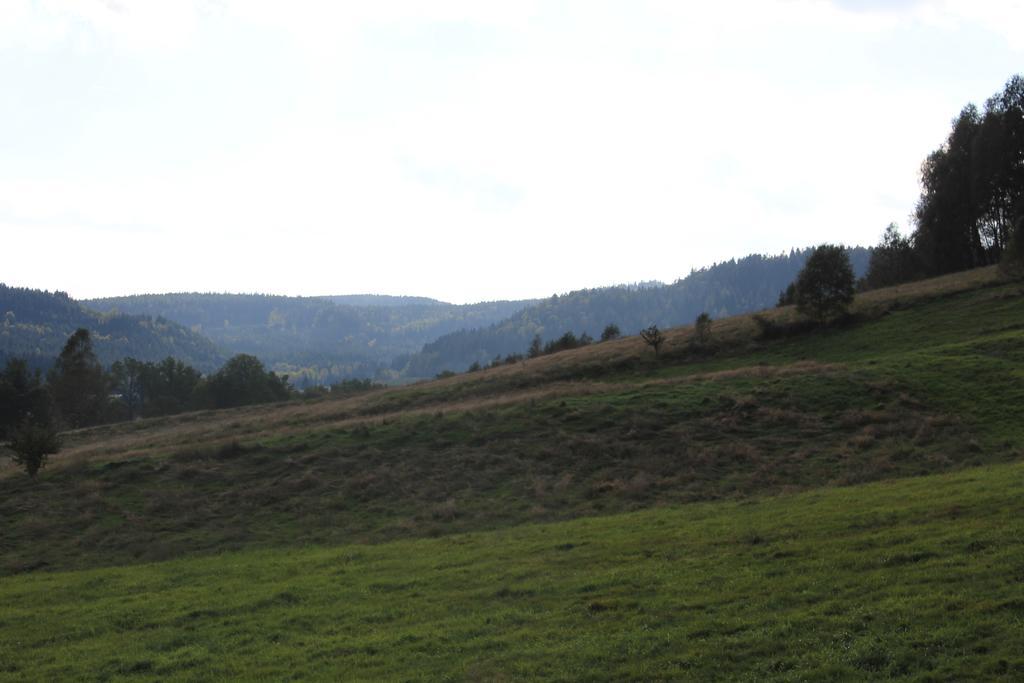 Sloneczna Zagroda - Sunny Ridge Farm Laczna  Exterior photo